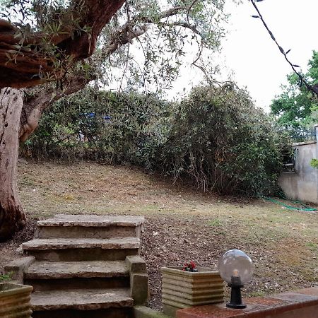 Appartamento I Gufetti 2 San Savino  Esterno foto