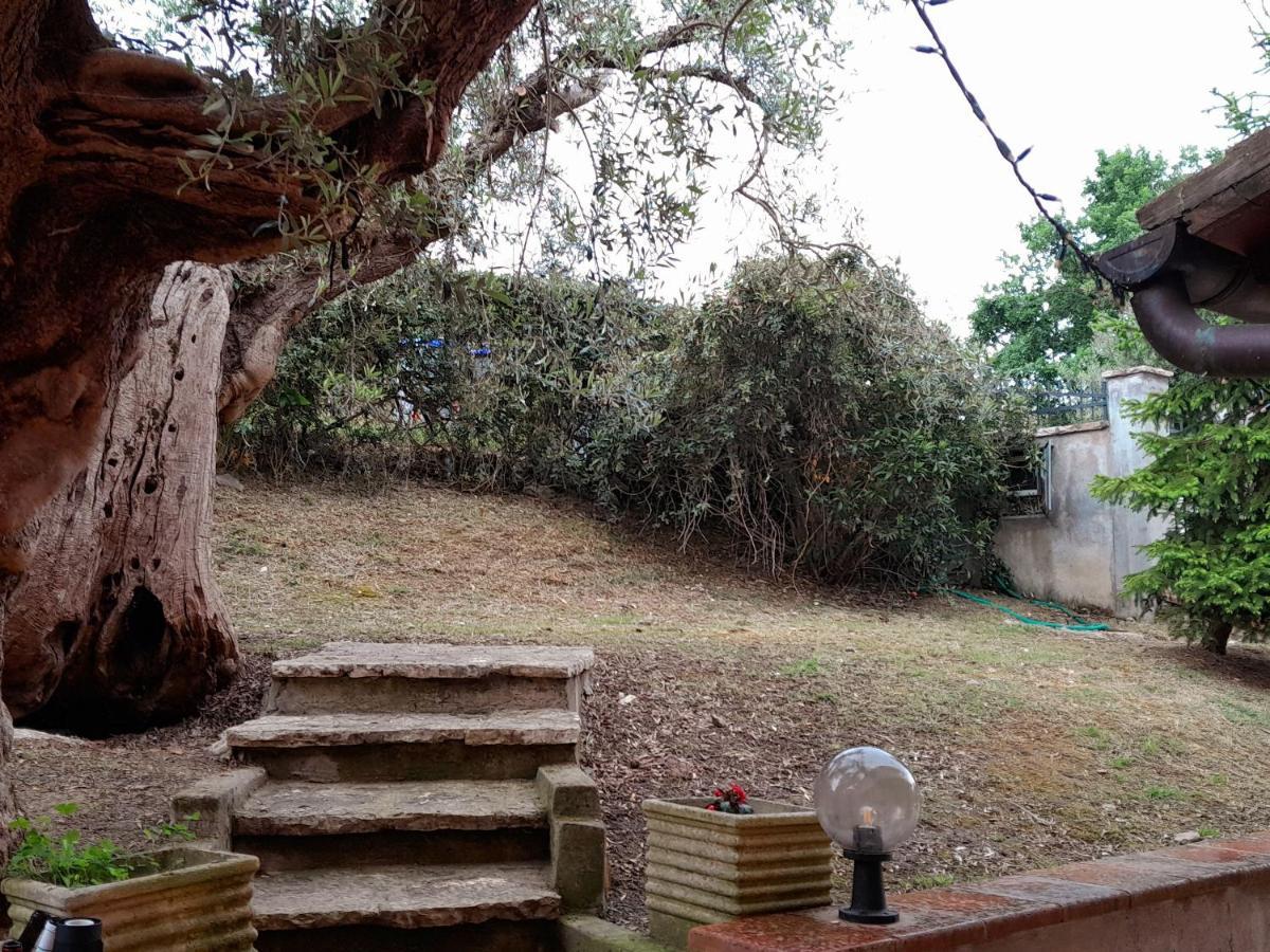 Appartamento I Gufetti 2 San Savino  Esterno foto